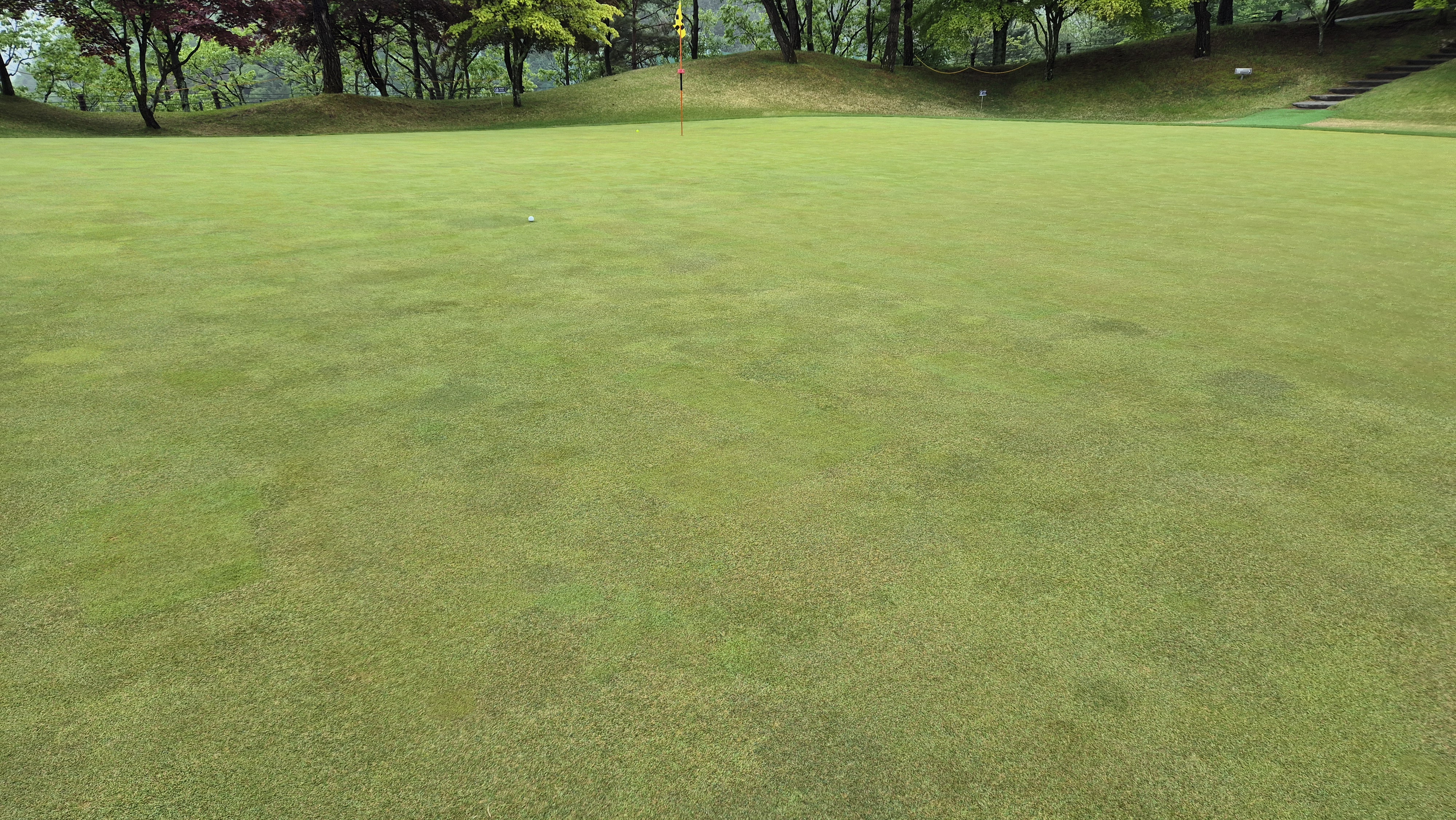 엘리시안 강촌cc 라운드 후기