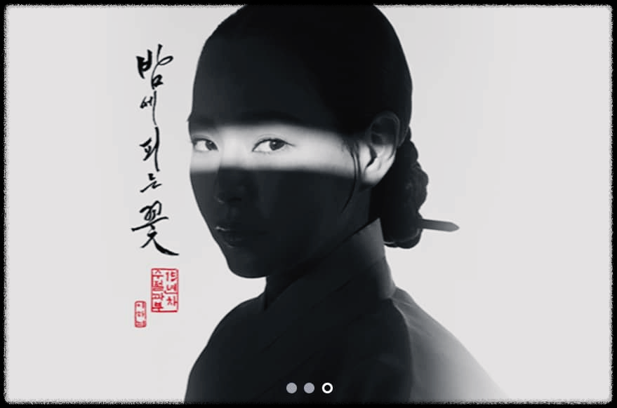 밤에 피는 꽃
