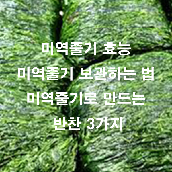 미역줄기 효능 미역줄기 보관하는 법 미역줄기로 만드는 반찬 3가지