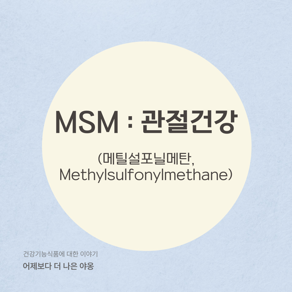 MSM(Methylsulfonylmethane): 관절 건강과 항염 효과