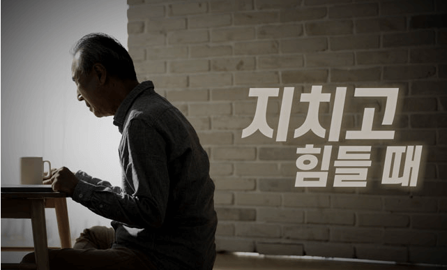 광동 침향환 가격2