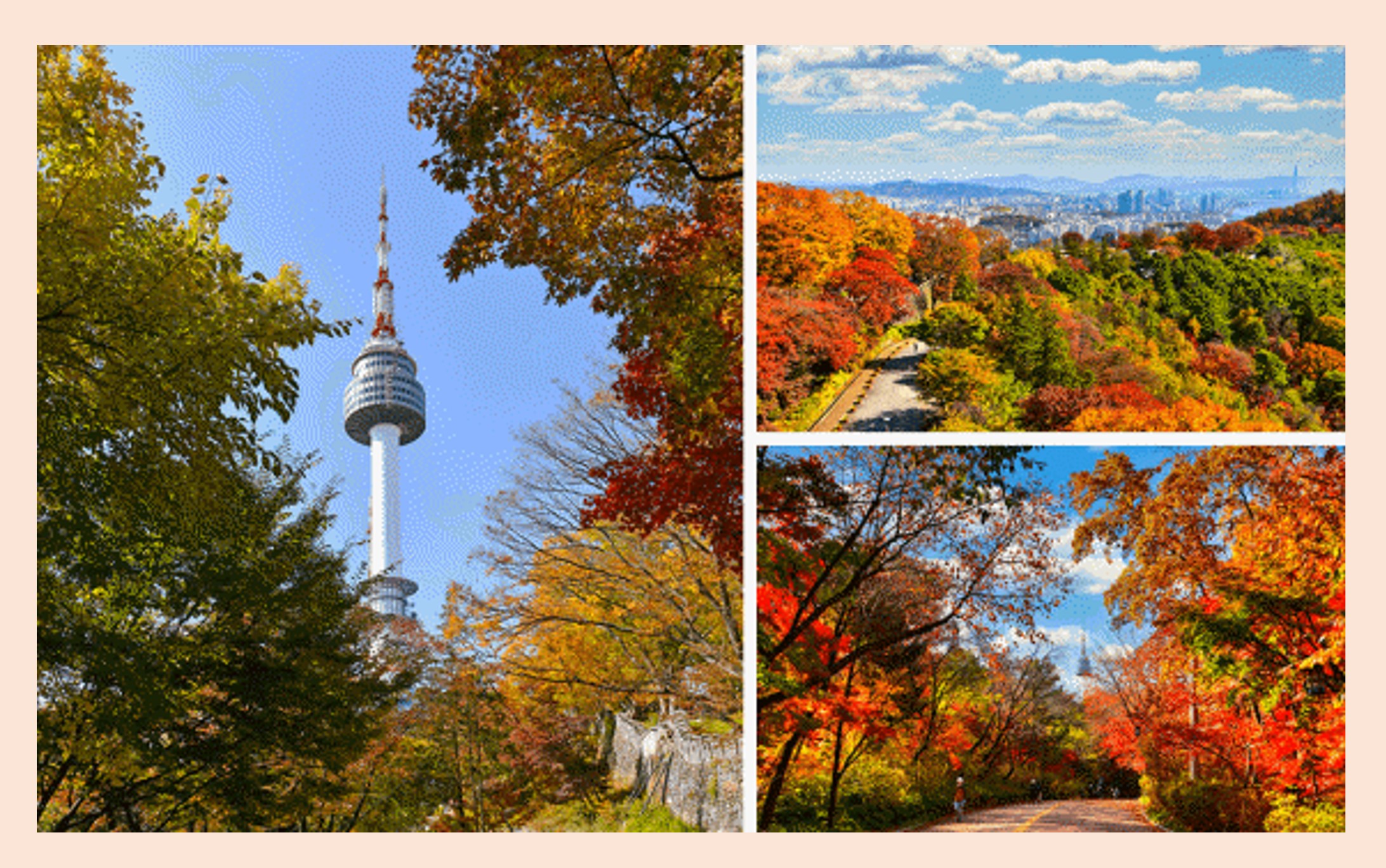 2024 서울근교 단풍명소-서울남산타워 둘레길