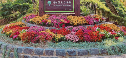 전국 야간 명소 BEST 5곳