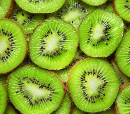 강아지 키위 급여 방법 및 주의사항