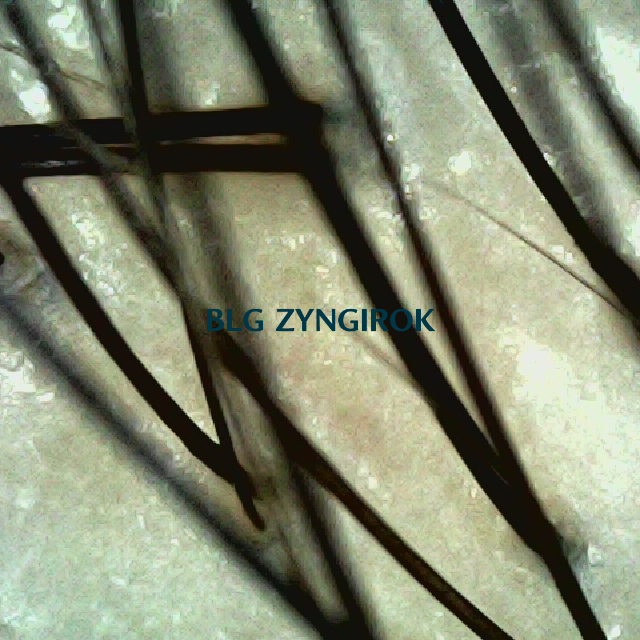 파나모아 복용 2주차 정수리 두피사진 모습이다.