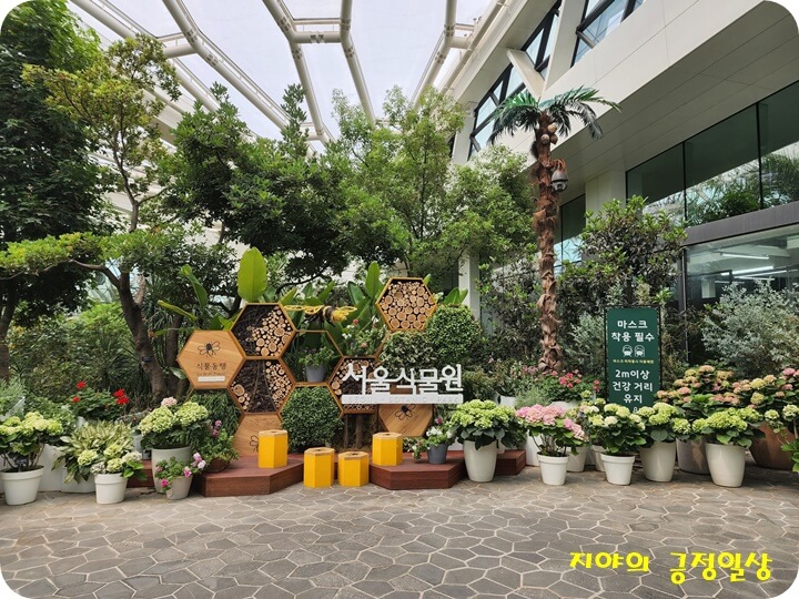나무들 중간에 나무로 만든 벌집 모양과 서울식물원 팻말이 있음
