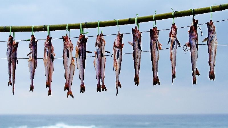 명태껍질요리레시피