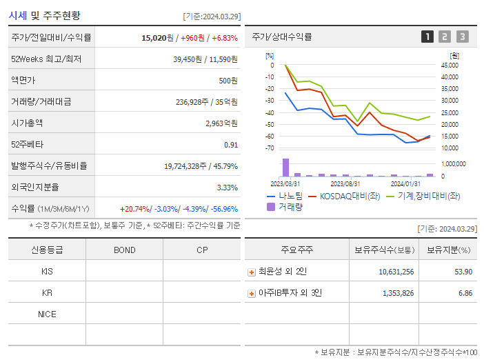 나노팀_기업개요
