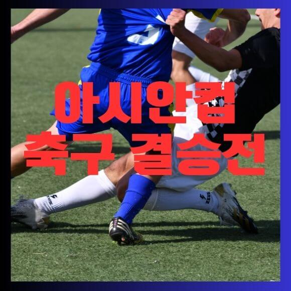 아시안컵-결승응원