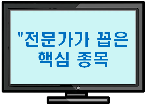 전문가각 꼽은 핵심 종목