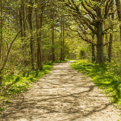 제주도 동쪽 여행지