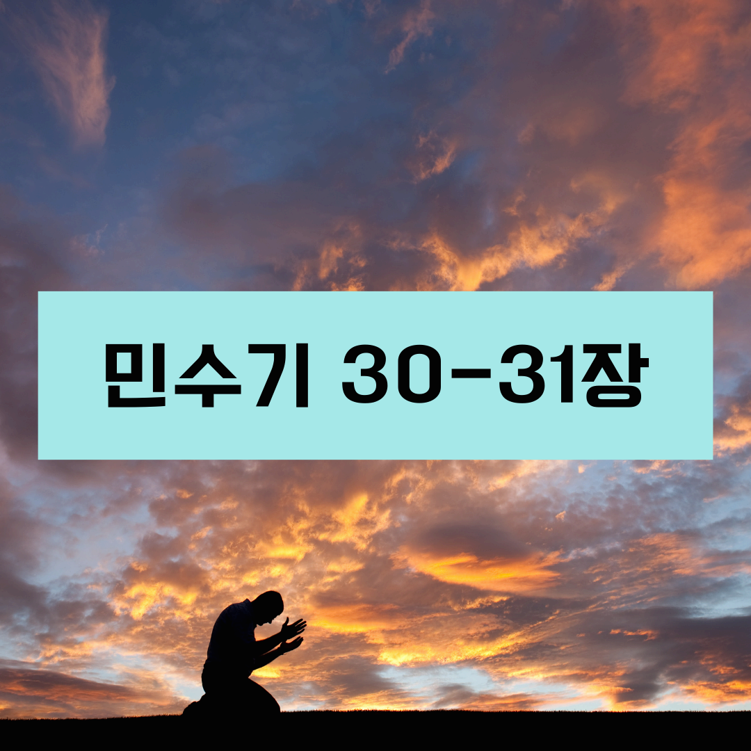 민수기30_31장