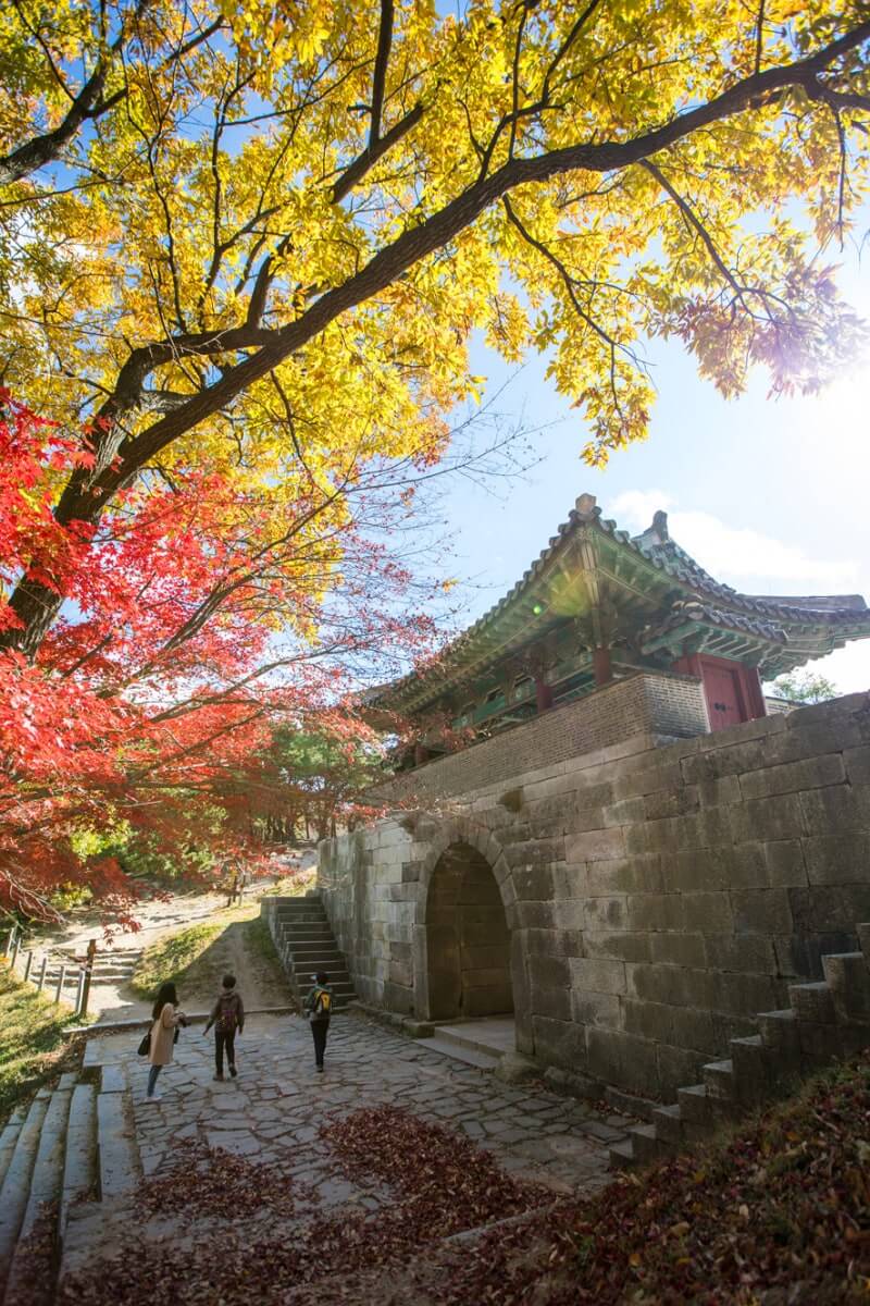 금정산 (범어사 주변)