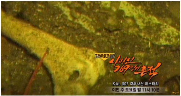 그알 1253회