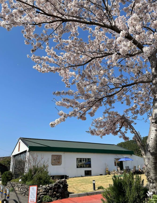 제주도 여행 제주도 맛집 추천