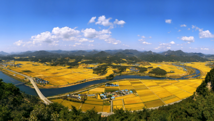 채계산 출렁다리