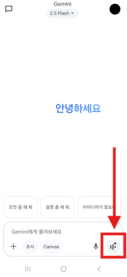 4. 실시간 카메라로 도움받기 (제미나이 Live)