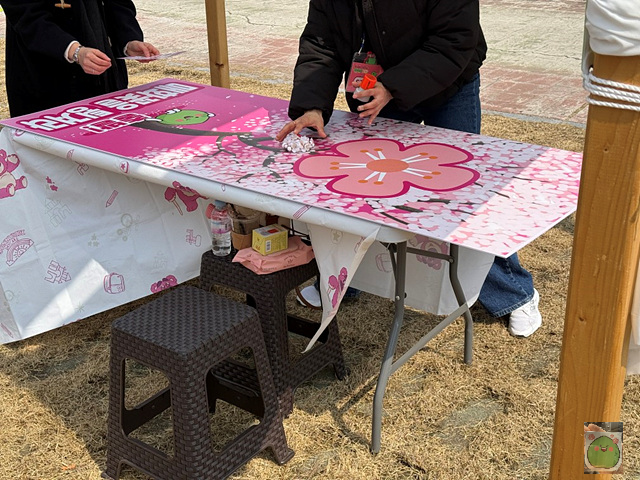 2025 광양매화축제 개화상황 주차장 실시간 입장료