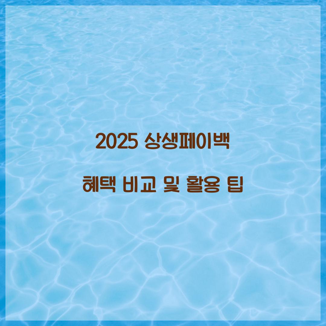 2025 상생페이백