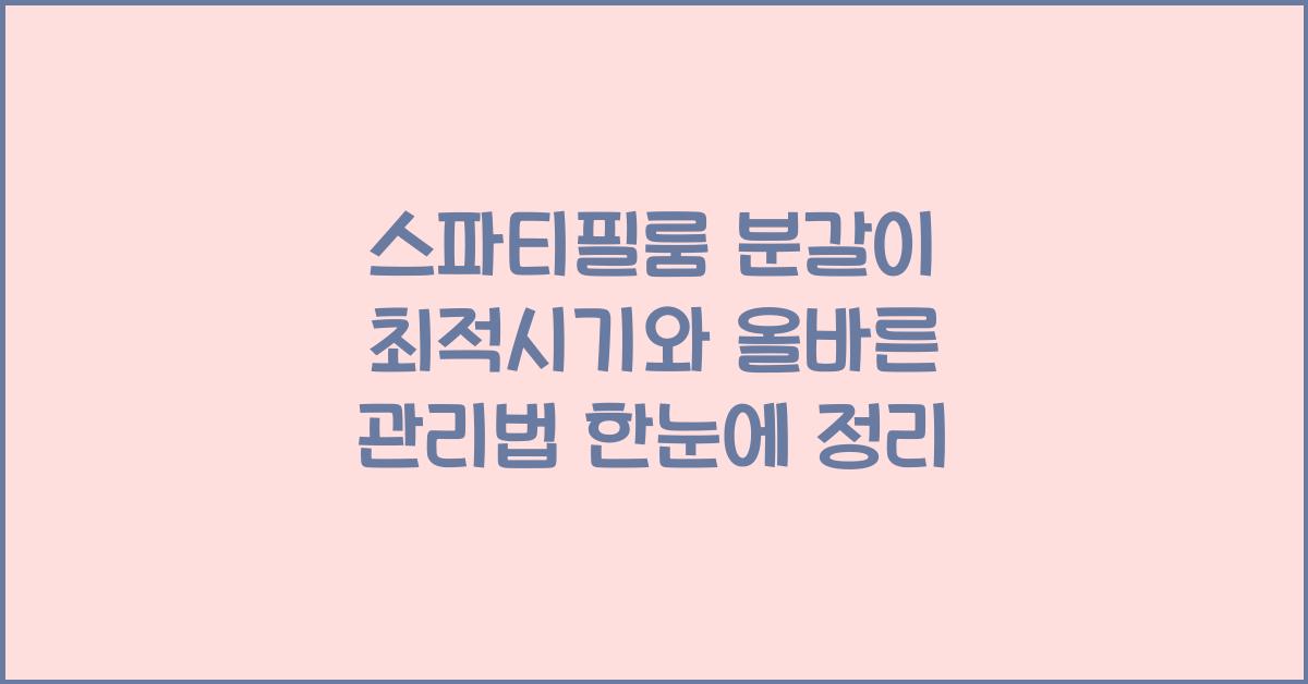 스파티필룸 분갈이 최적시기