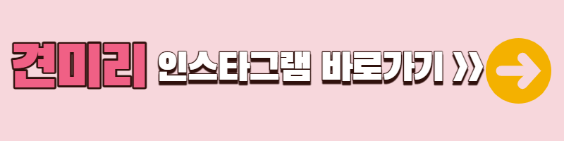 이다인 인스타그램