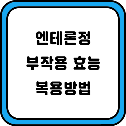 엔테론정-썸네일