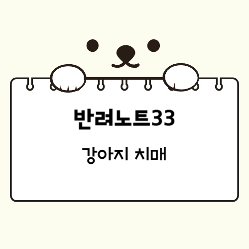 강아지 치매 증상과 예방 방법 치료제