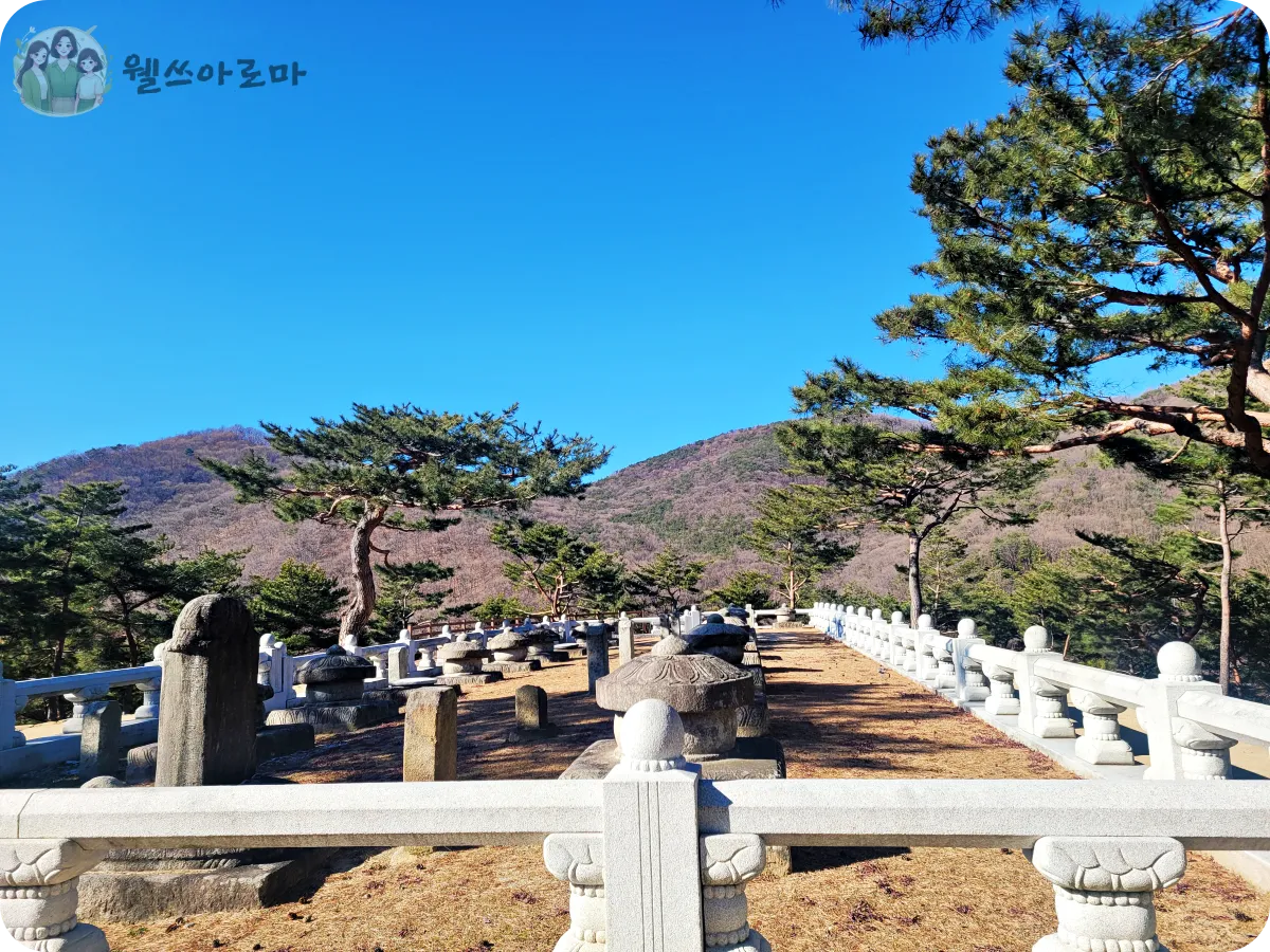 성주-세종대왕자태실-전체가보이는사진-산과하늘배경