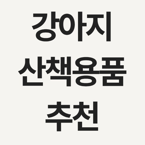 강아지 산책용품 추천 – 양손 자유템부터 야간 안전템까지