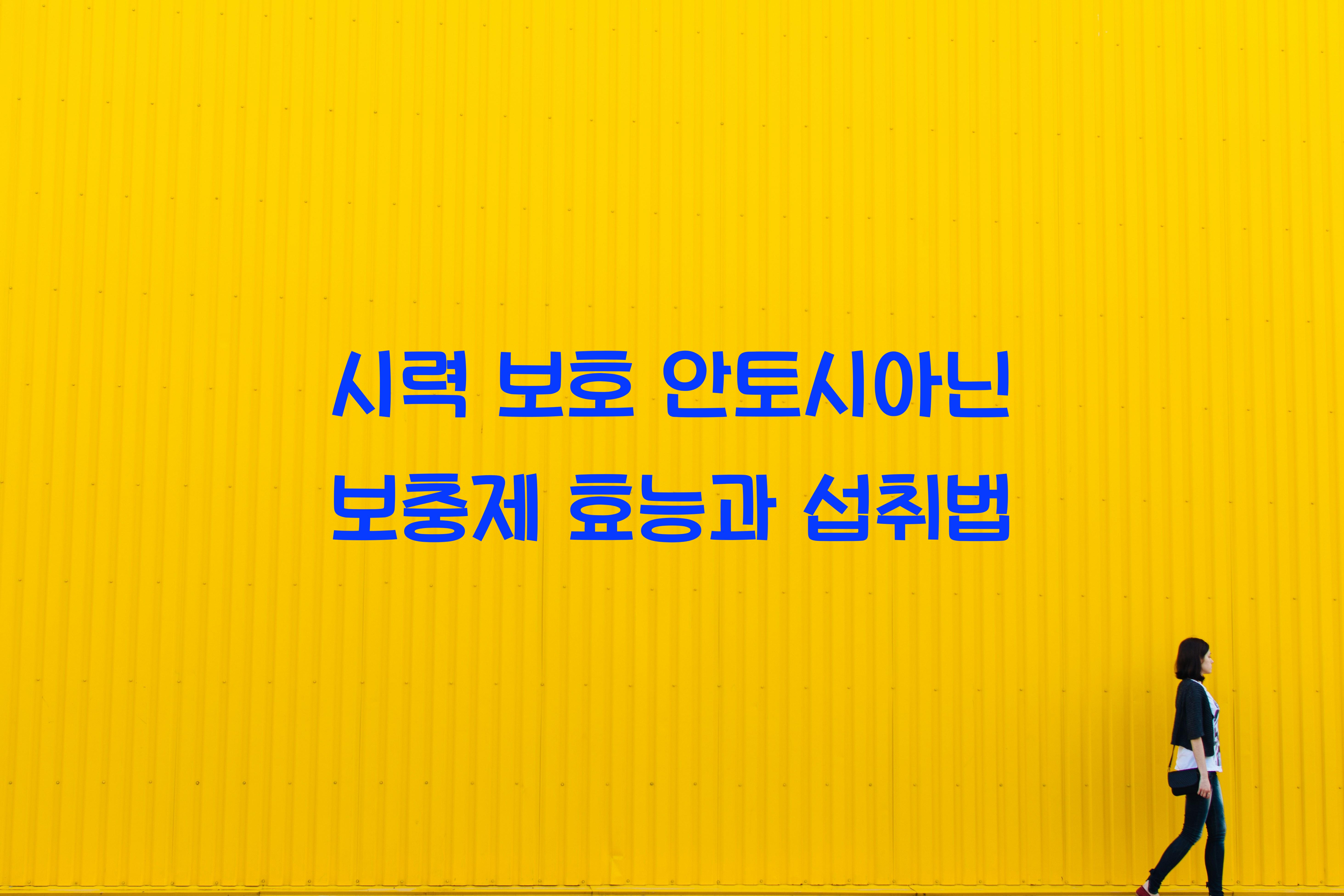 시력 보호 안토시아닌 보충제