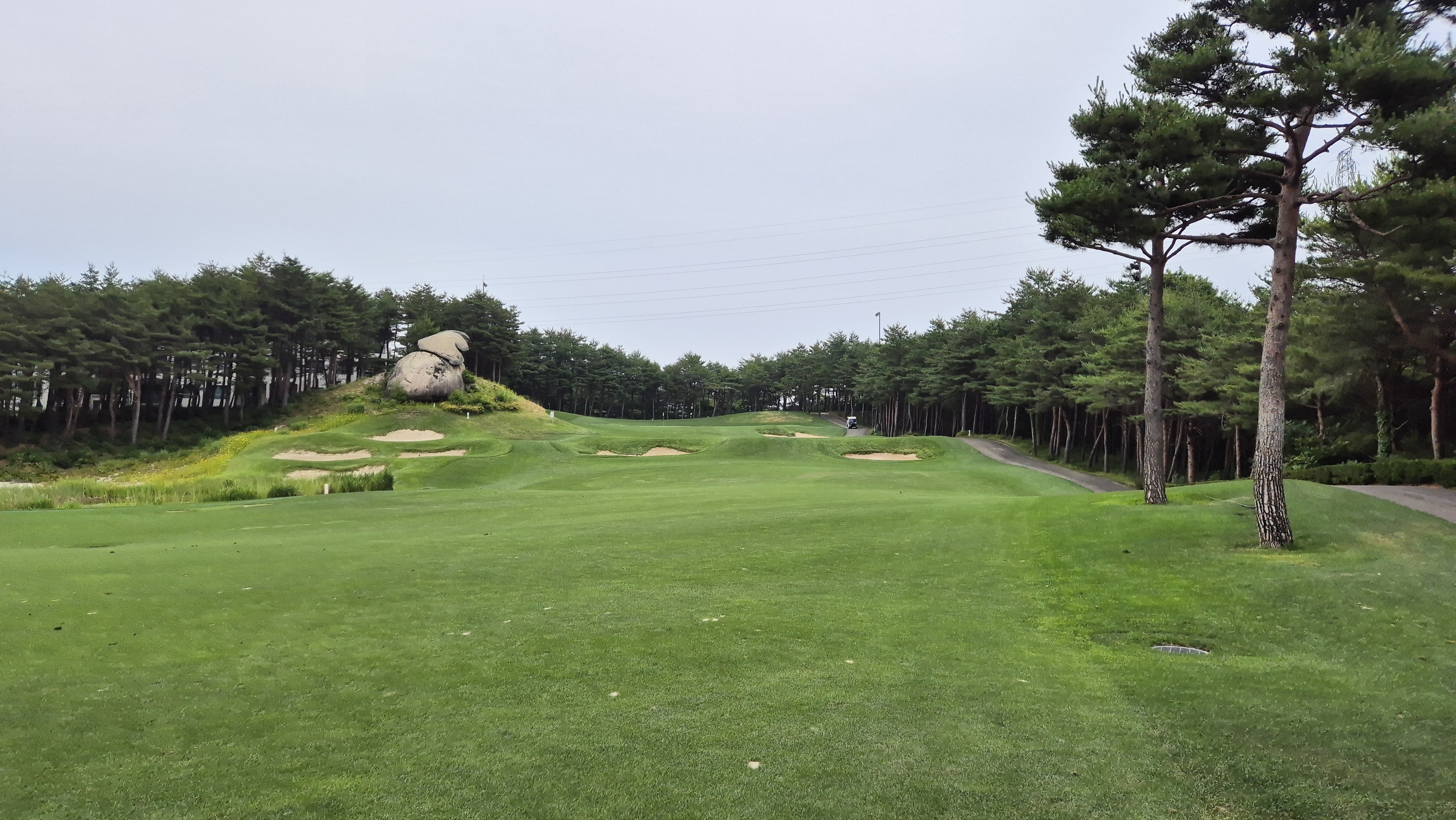 파인리즈cc 후기 및 코스사진