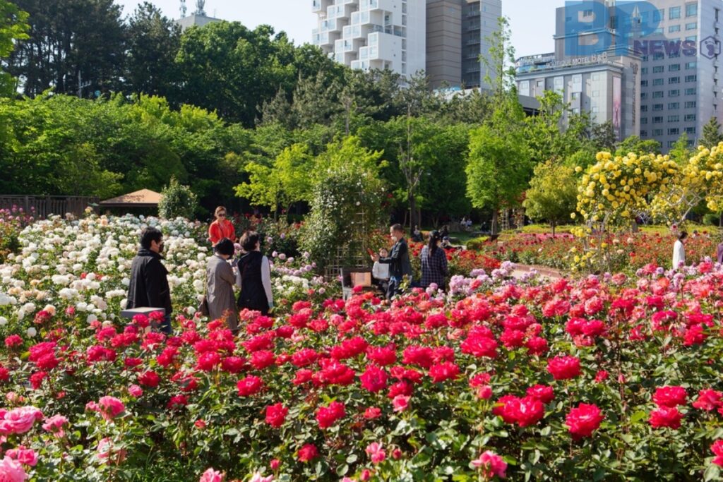 부산-화명동-장미원