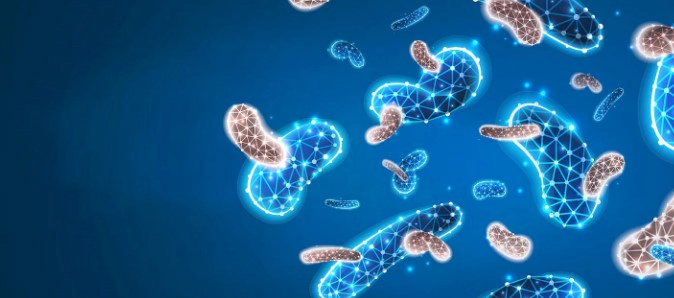 낙산균이란 낙산균 종류 및 효능 부작용 정리