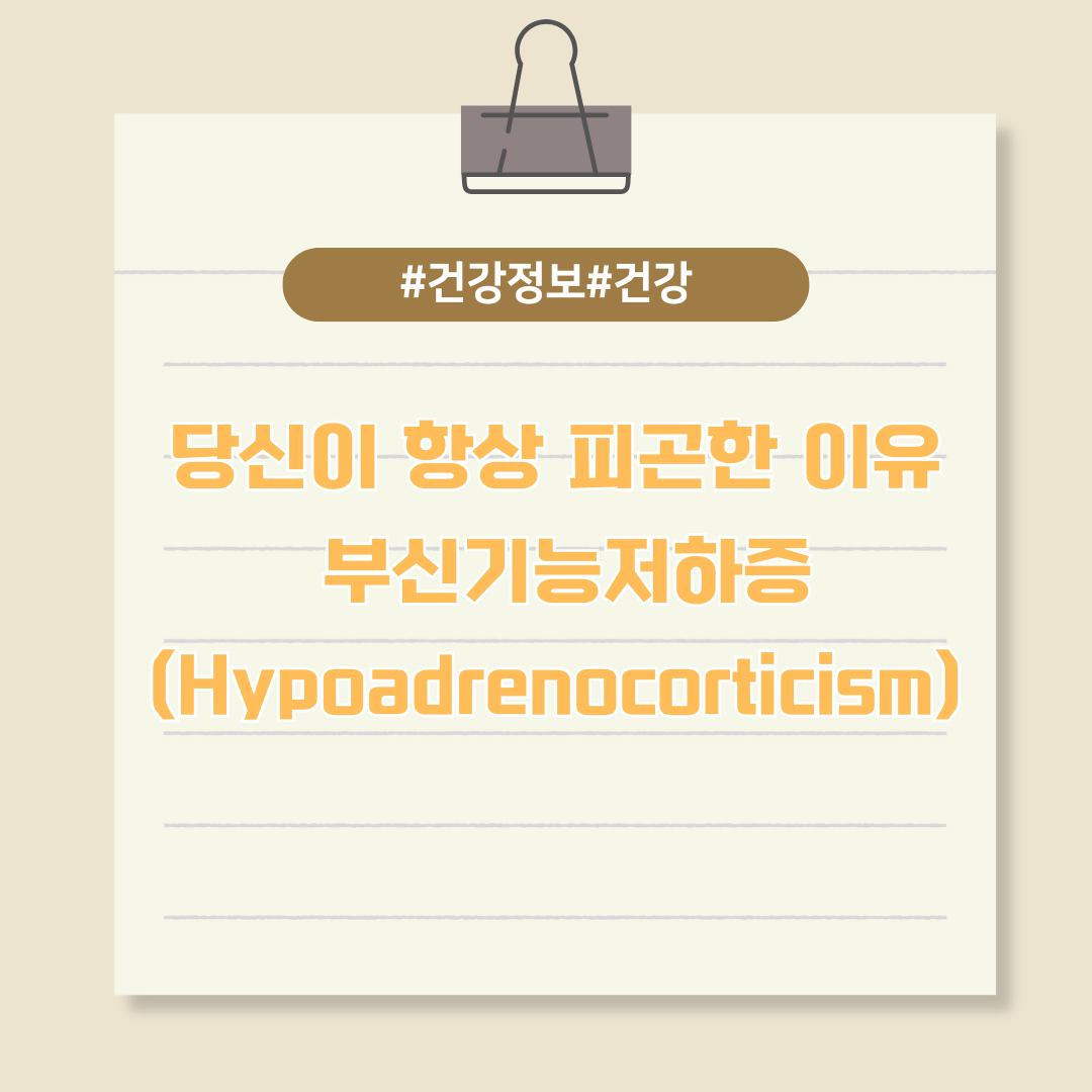 당신이 항상 피곤한 이유 - 부신기능저하증(Hypoadrenocorticism)