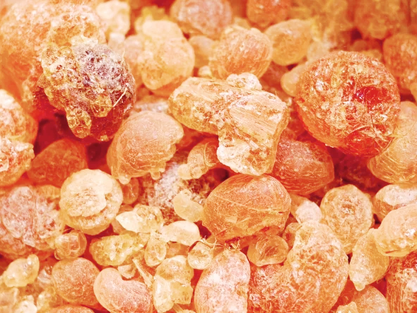 꾸준하게 섭취하는 보스웰리아