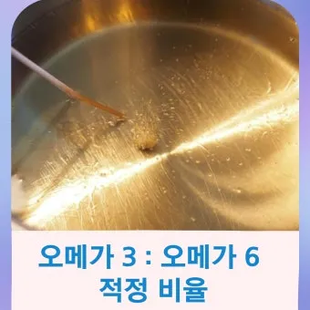 뇌건강 오메가3 DHA EP A 비율 최적화 치매 예방 완벽 가이드로 섭취비법_19