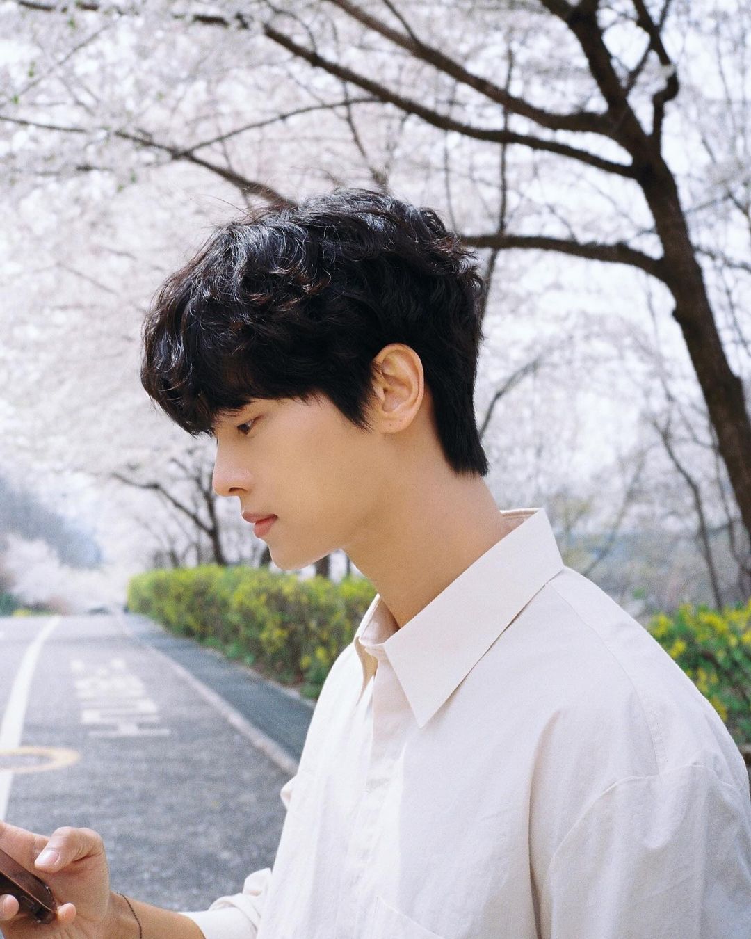 차학연