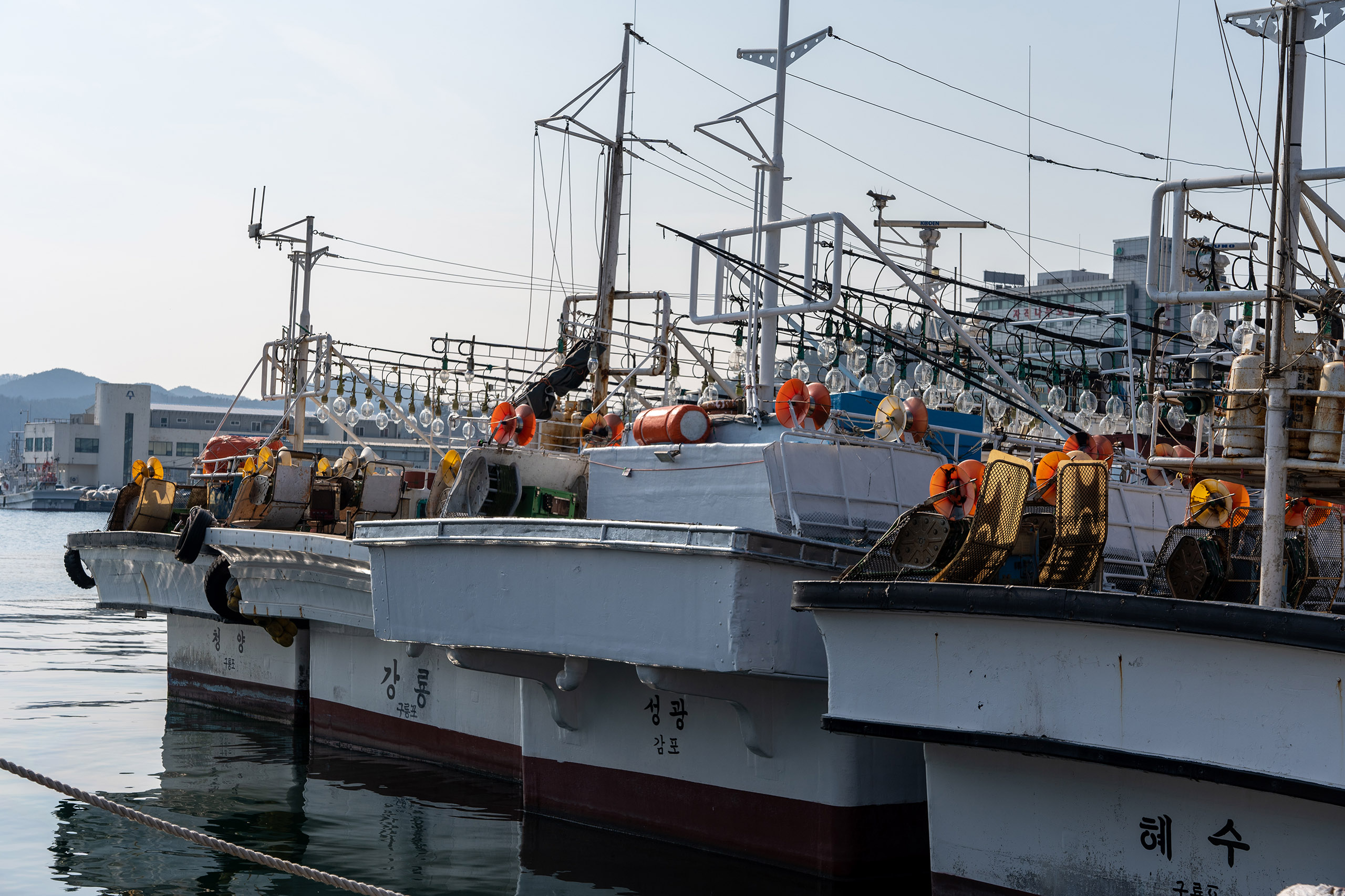 포항 구룡포