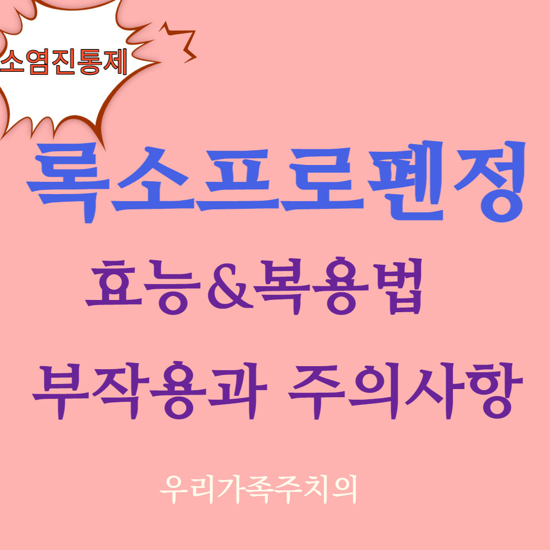 록소프로펜정