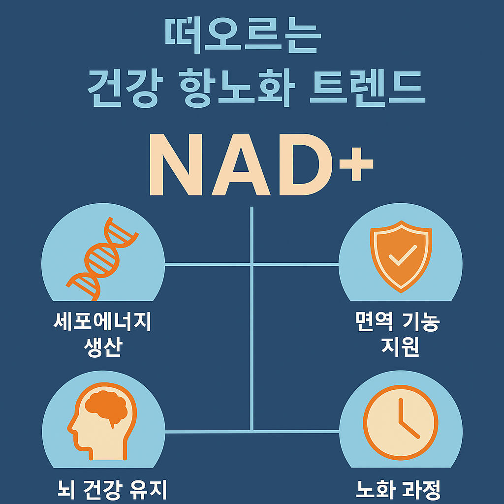 NAD+, 떠오르는 건강 항노화 트렌드