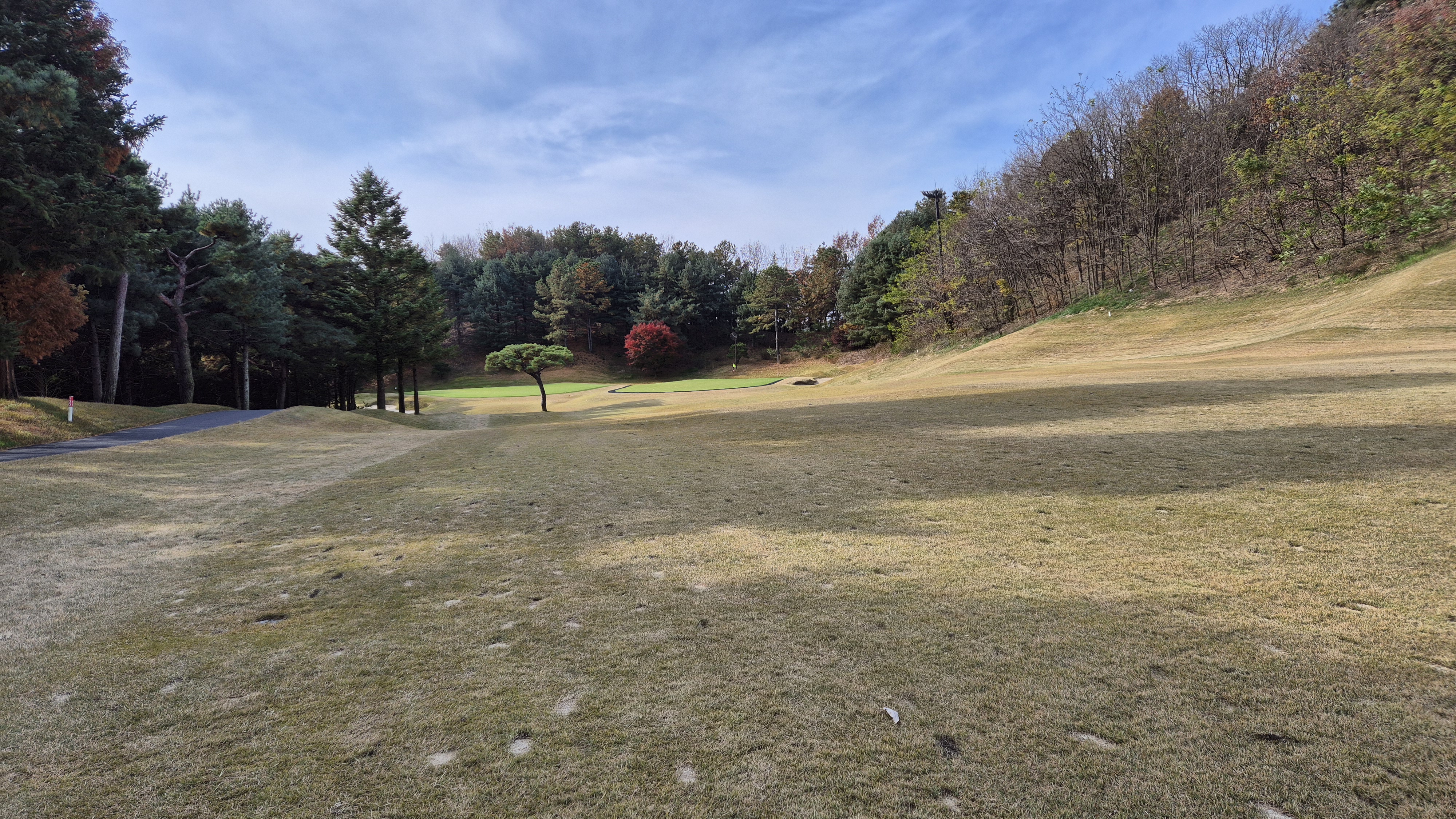 세종에머슨cc 밸리코스 사진 및 공략 정보