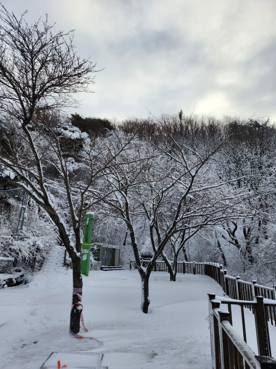 충북 영동 도마령 겨울 드라이브 명소의 재발견