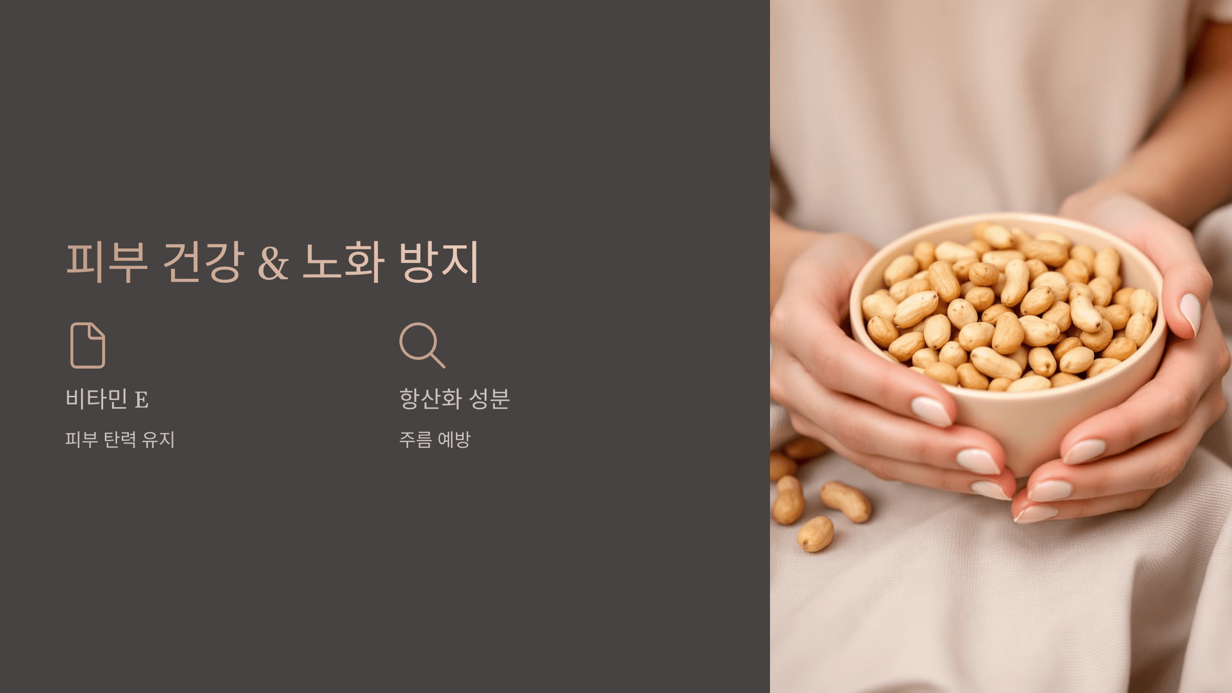 땅콩 사진입니다.