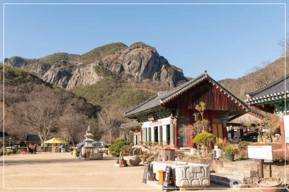 청송 가볼만한곳 베스트10 대전사