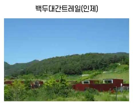 숲길체험-트레일