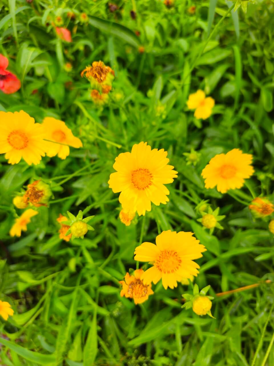 AI와 로봇을 활용한 돌봄 서비스 정책