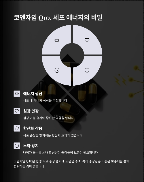 만성 피로 날리는 핵심 영양제 추천 리스트