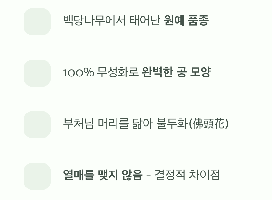 열매 없는 풍성함, '불두화' (특별한 자손)