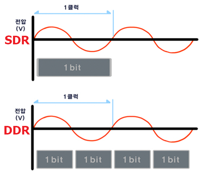 SDR과 DDR