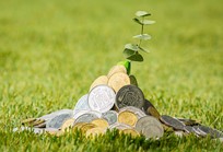 청년수당 사용처